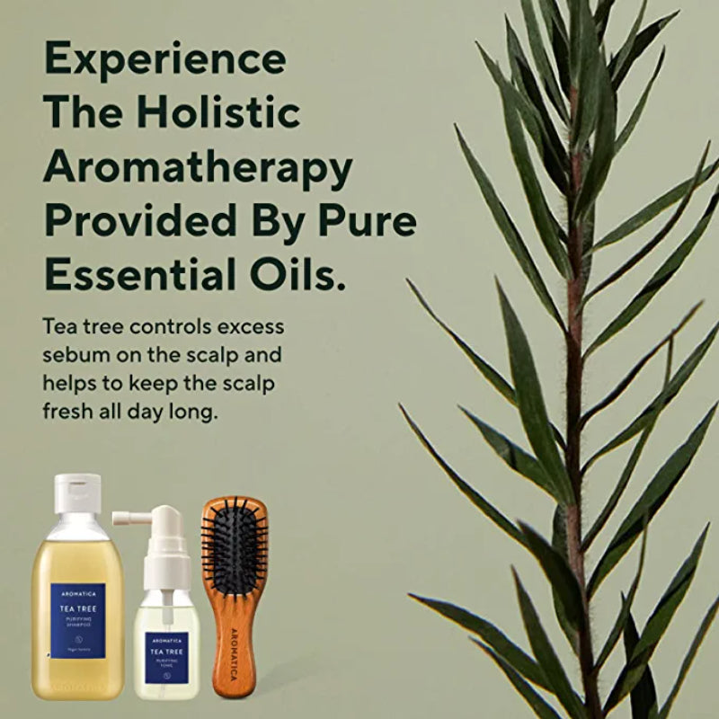  Tea Tree Scalp Purifying Trial Kit - Korean-Skincare